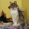 Отзыв от Нина Карпова